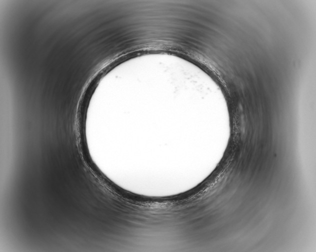 X0000093501122200711021005