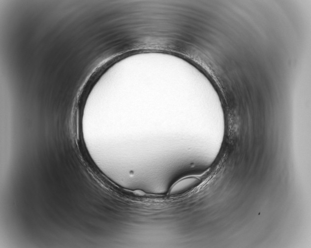 X0000093501123200711021005