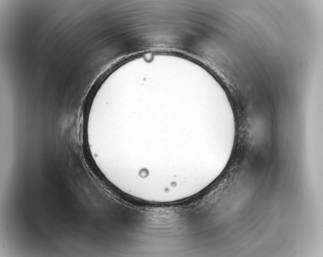 X0000093501126200711021005