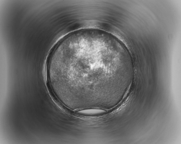X0000093501127200711021005