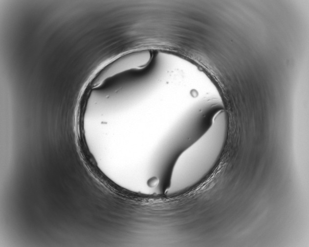 X0000093501128200711021005