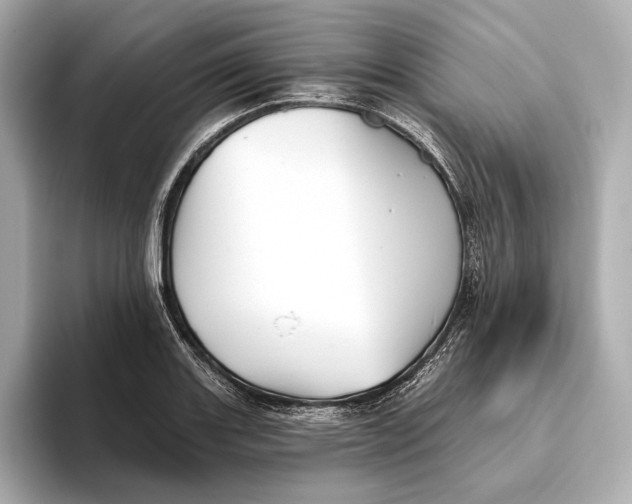 X0000093501131200711021005