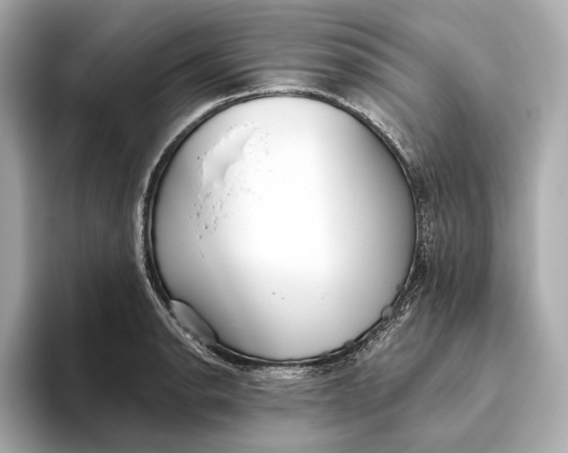 X0000093501134200711021005