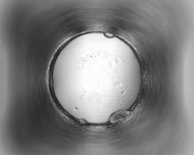 X0000093501135200711021005