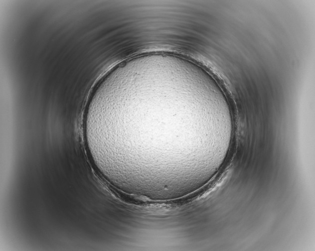 X0000093501137200711021005