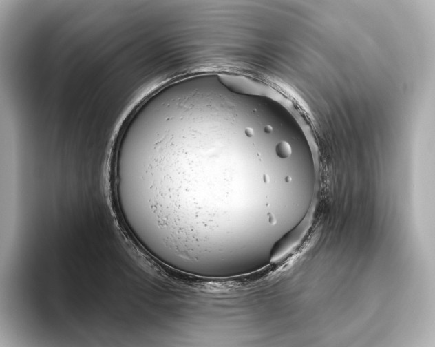 X0000093501138200711021005