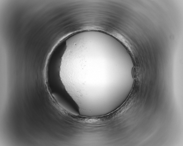 X0000093501140200711021005