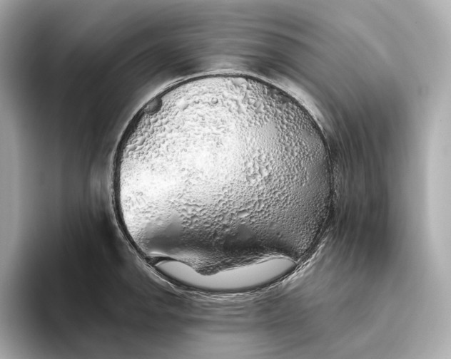 X0000093501142200711021005