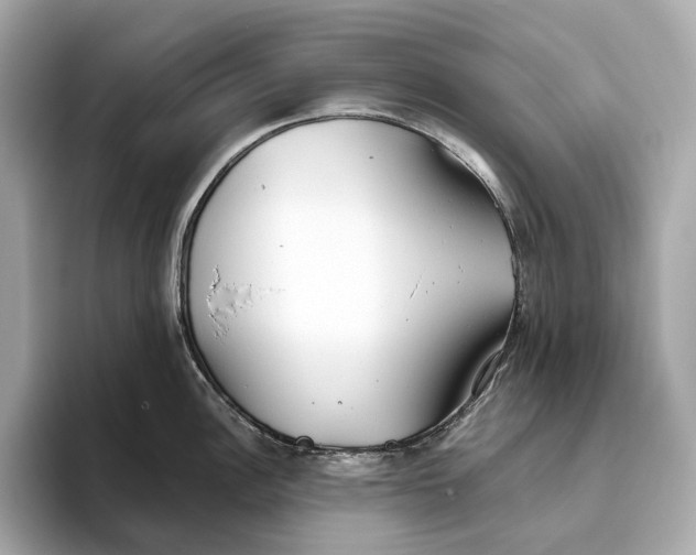 X0000093501148200711021005