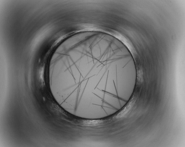 X0000093501150200711021005