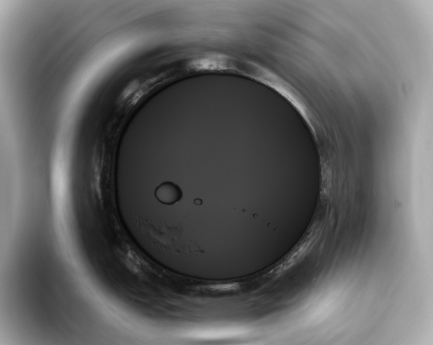 X0000093501151200711021005