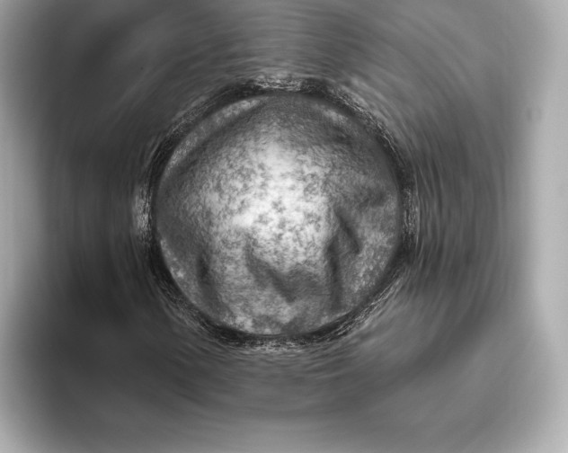 X0000093501154200711021004