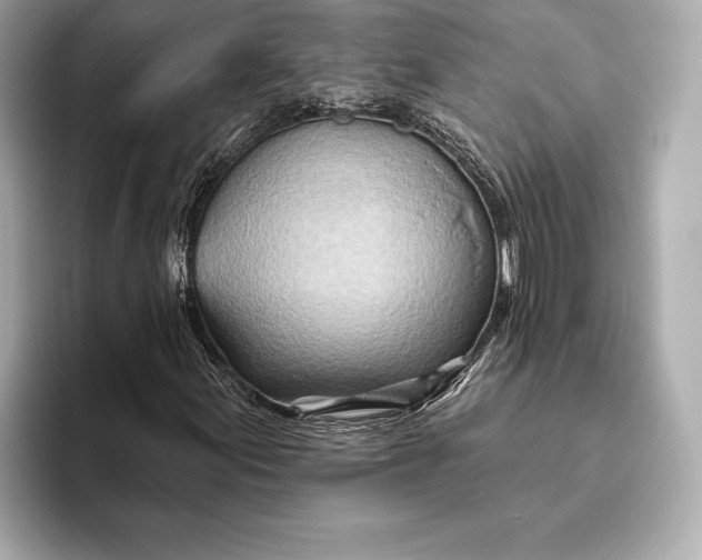 X0000093501155200711021004