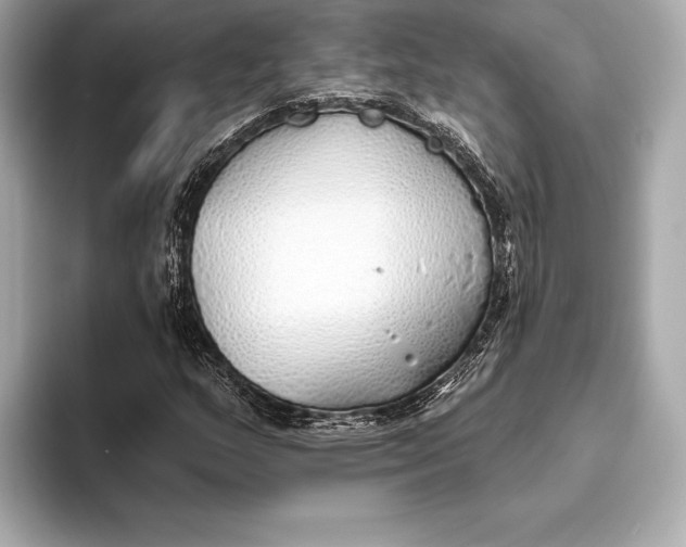 X0000093501159200711021004