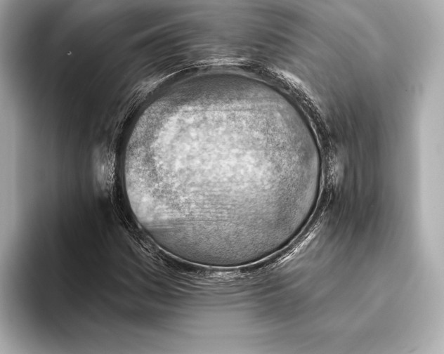 X0000093501161200711021004