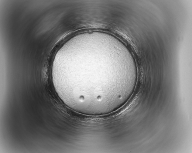 X0000093501163200711021004