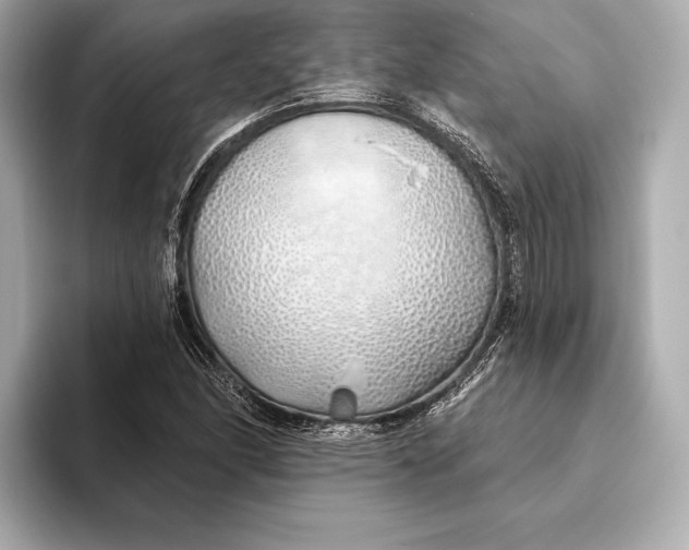 X0000093501166200711021004