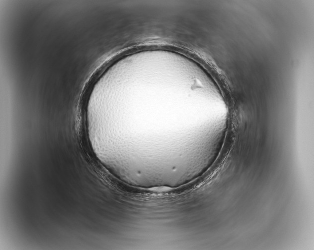 X0000093501167200711021004