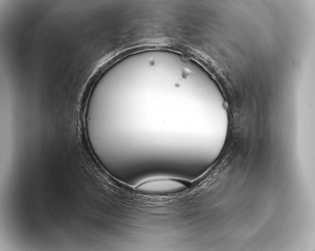 X0000093501168200711021004