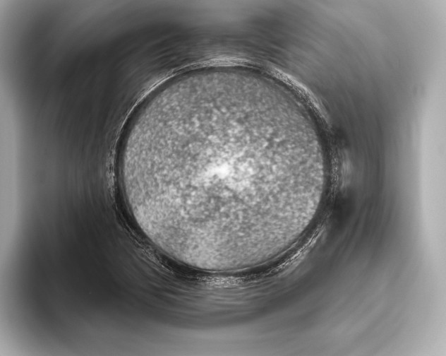 X0000093501170200711021004