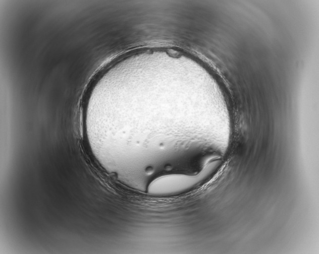 X0000093501171200711021004