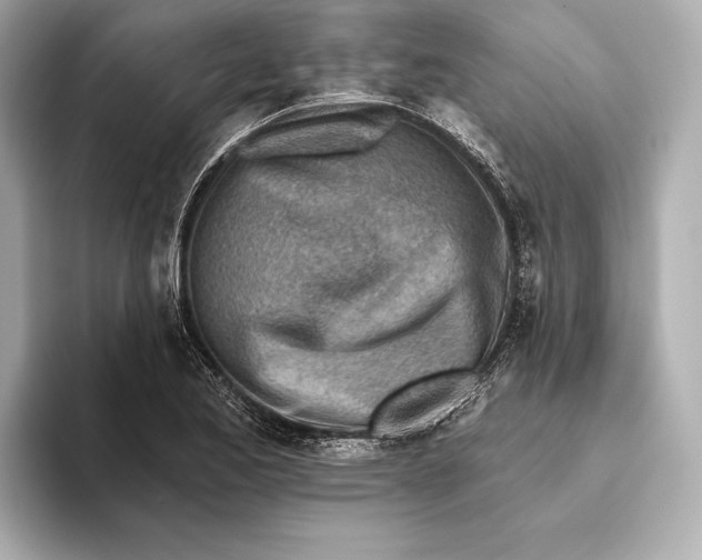 X0000093501173200711021004