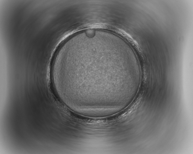 X0000093501174200711021004