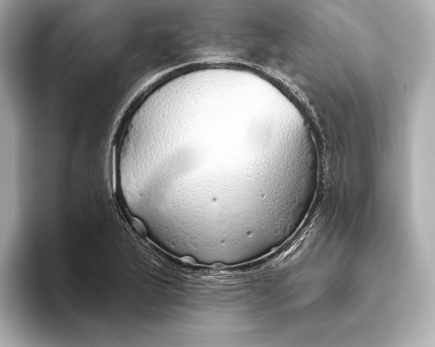 X0000093501175200711021004