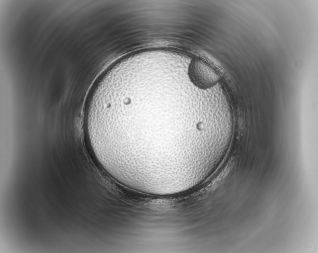 X0000093501178200711021004