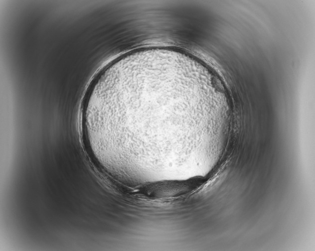 X0000093501179200711021004