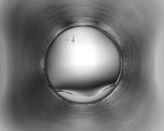X0000093501185200711021004