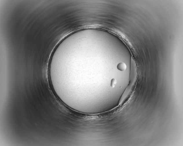 X0000093501186200711021004