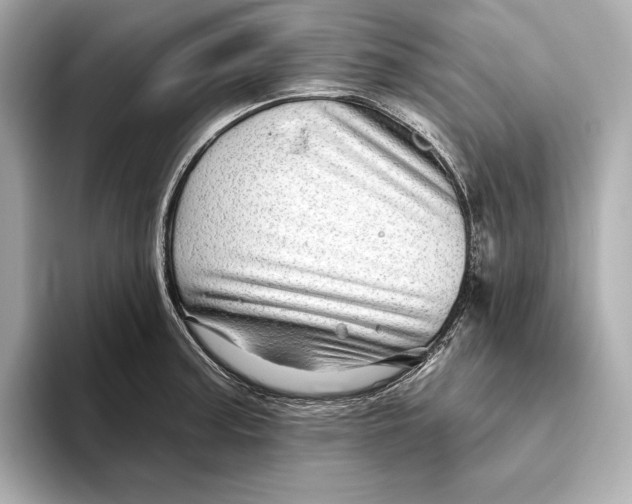 X0000093501187200711021004