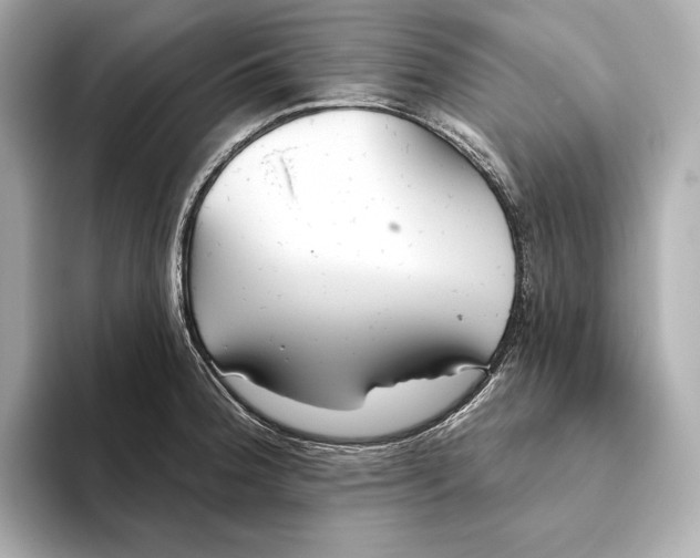 X0000093501188200711021004