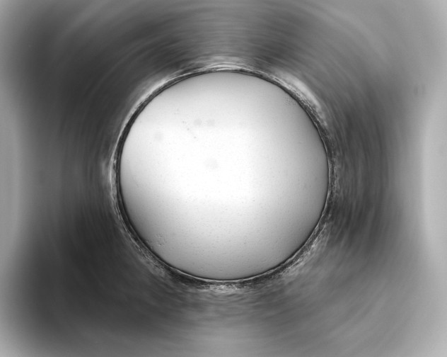 X0000093501190200711021004