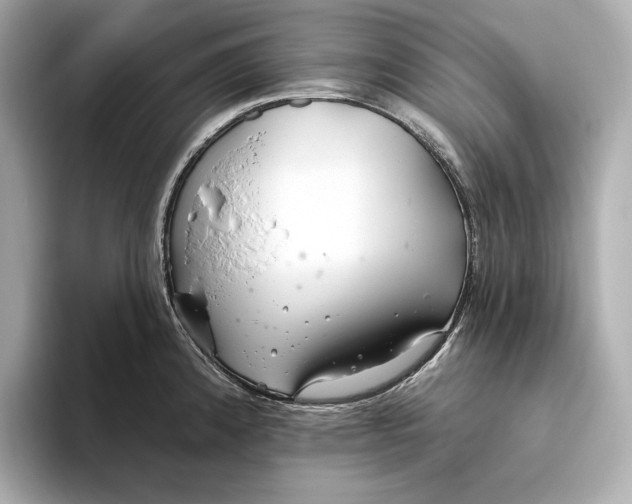 X0000093501192200711021004