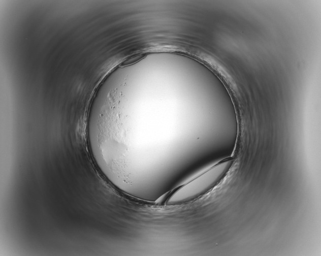 X0000093501193200711021004
