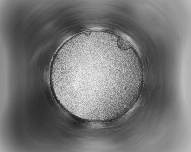 X0000093501194200711021004