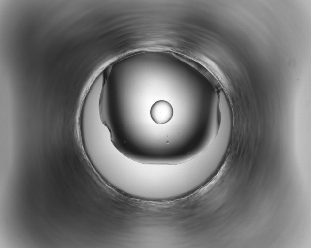 X0000093501196200711021004