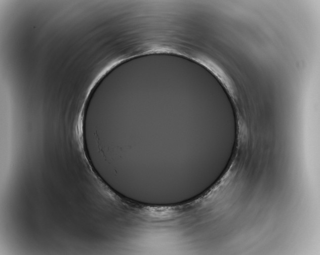 X0000093501198200711021004