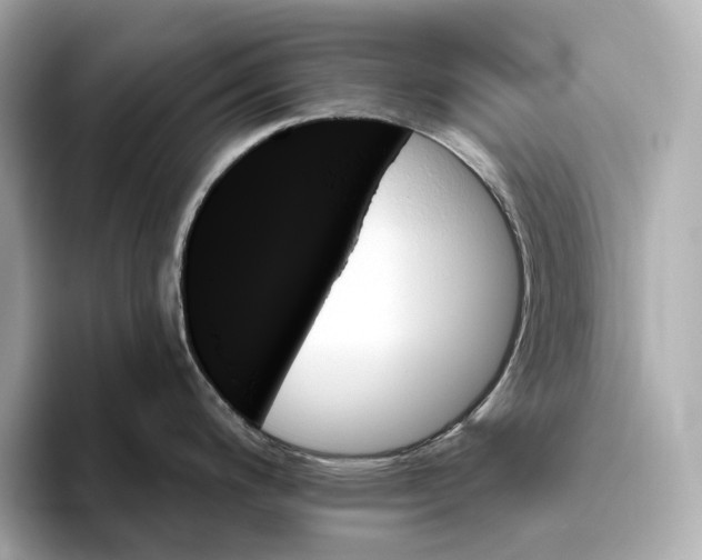 X0000093501200200711021004