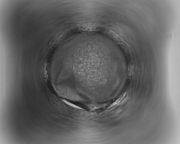 X0000093501202200711021003