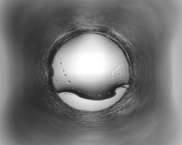 X0000093501206200711021003