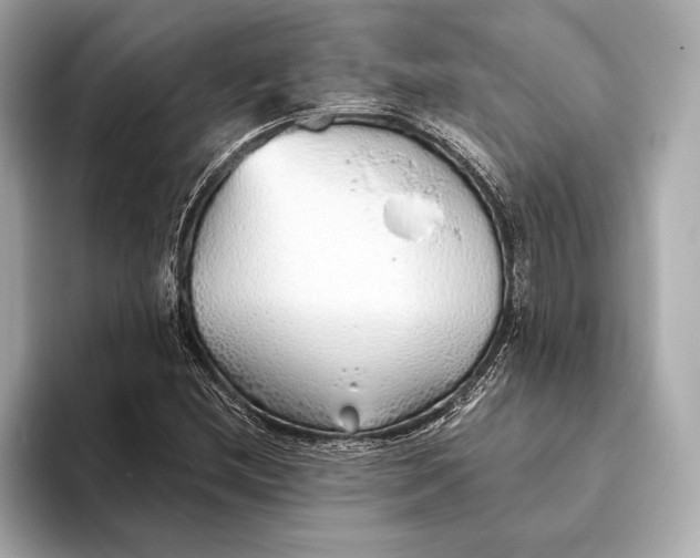 X0000093501212200711021003