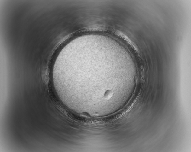X0000093501213200711021003