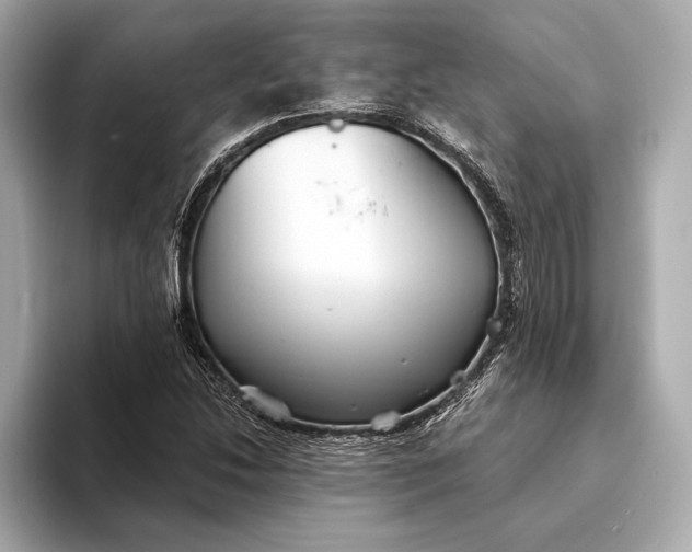 X0000093501214200711021004