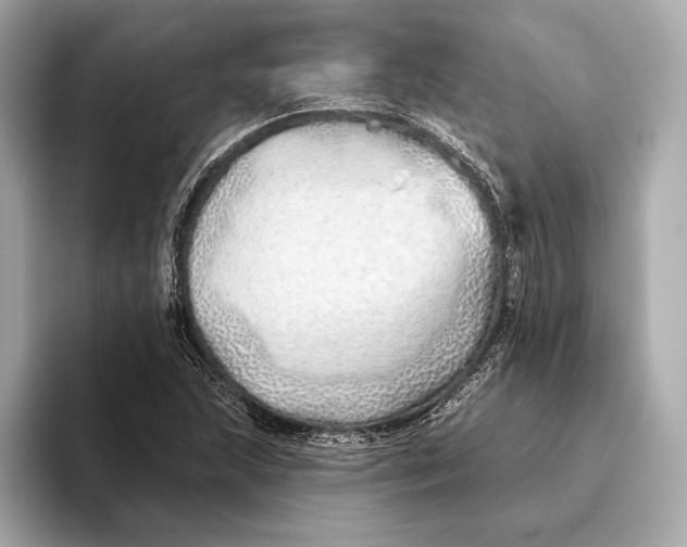 X0000093501215200711021004