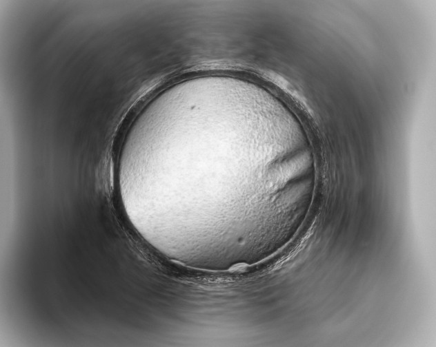 X0000093501221200711021004