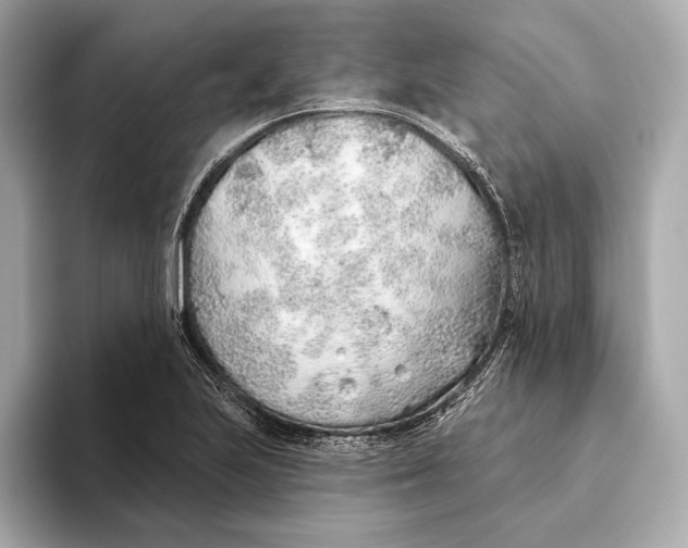 X0000093501223200711021004