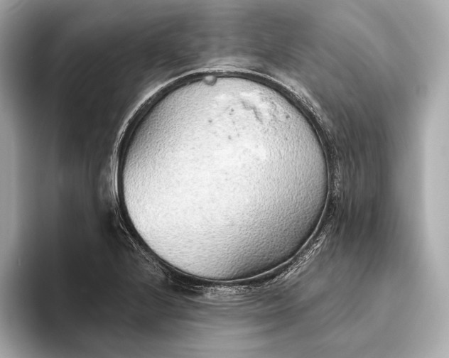 X0000093501224200711021004